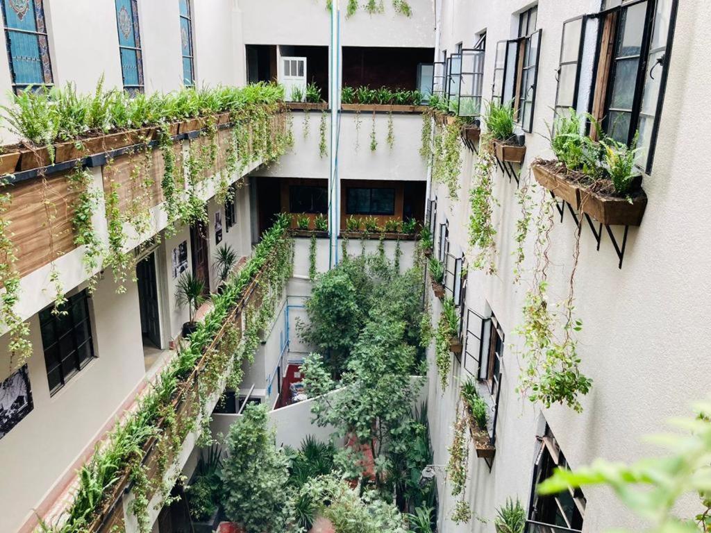 Frontera 49 Roma Norte Hostal Мексико Сити Екстериор снимка