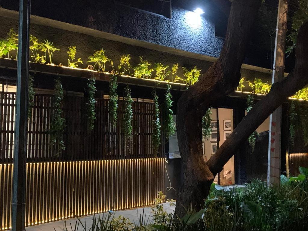 Frontera 49 Roma Norte Hostal Мексико Сити Екстериор снимка