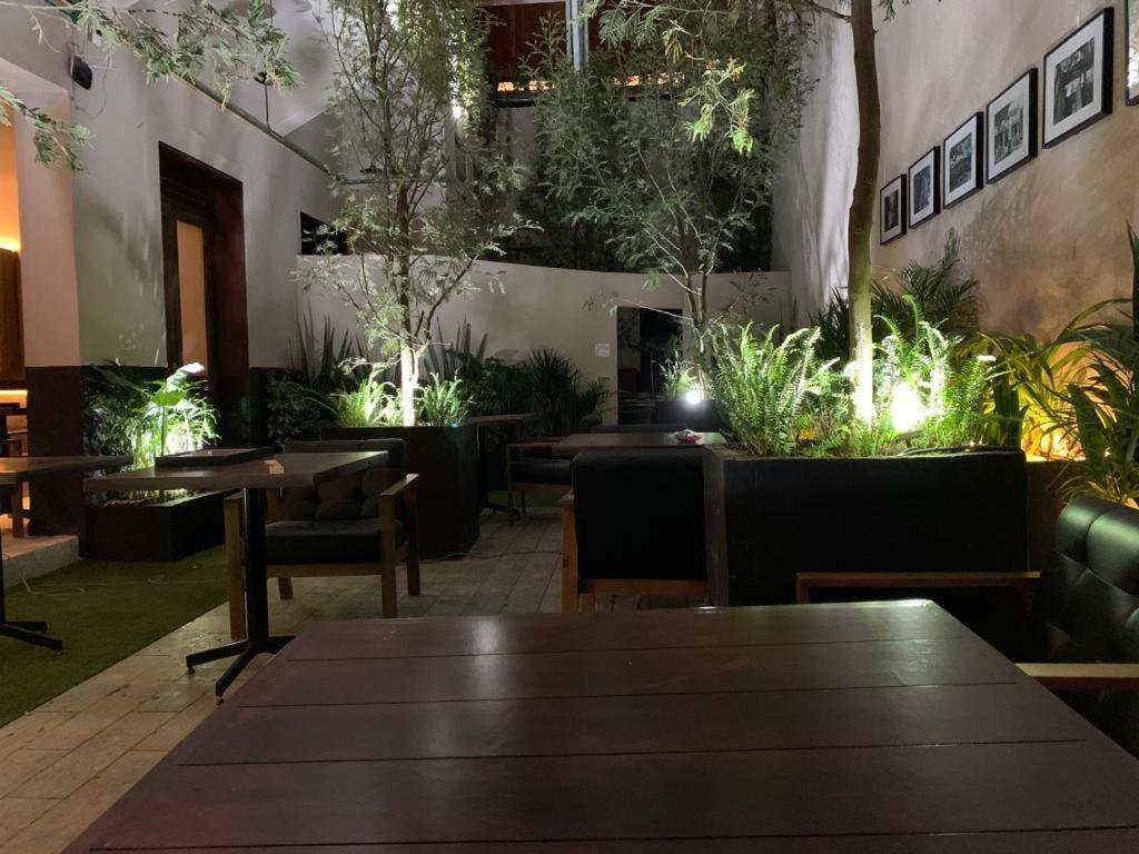 Frontera 49 Roma Norte Hostal Мексико Сити Екстериор снимка