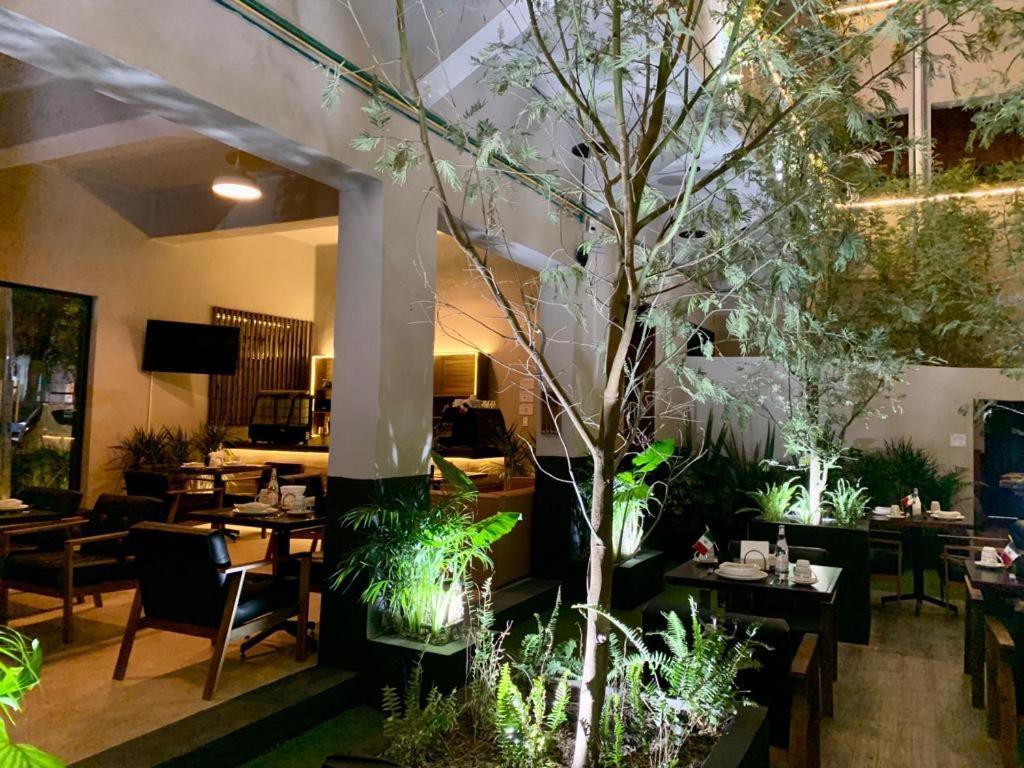 Frontera 49 Roma Norte Hostal Мексико Сити Екстериор снимка