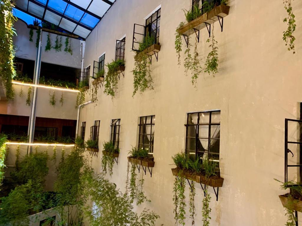 Frontera 49 Roma Norte Hostal Мексико Сити Екстериор снимка