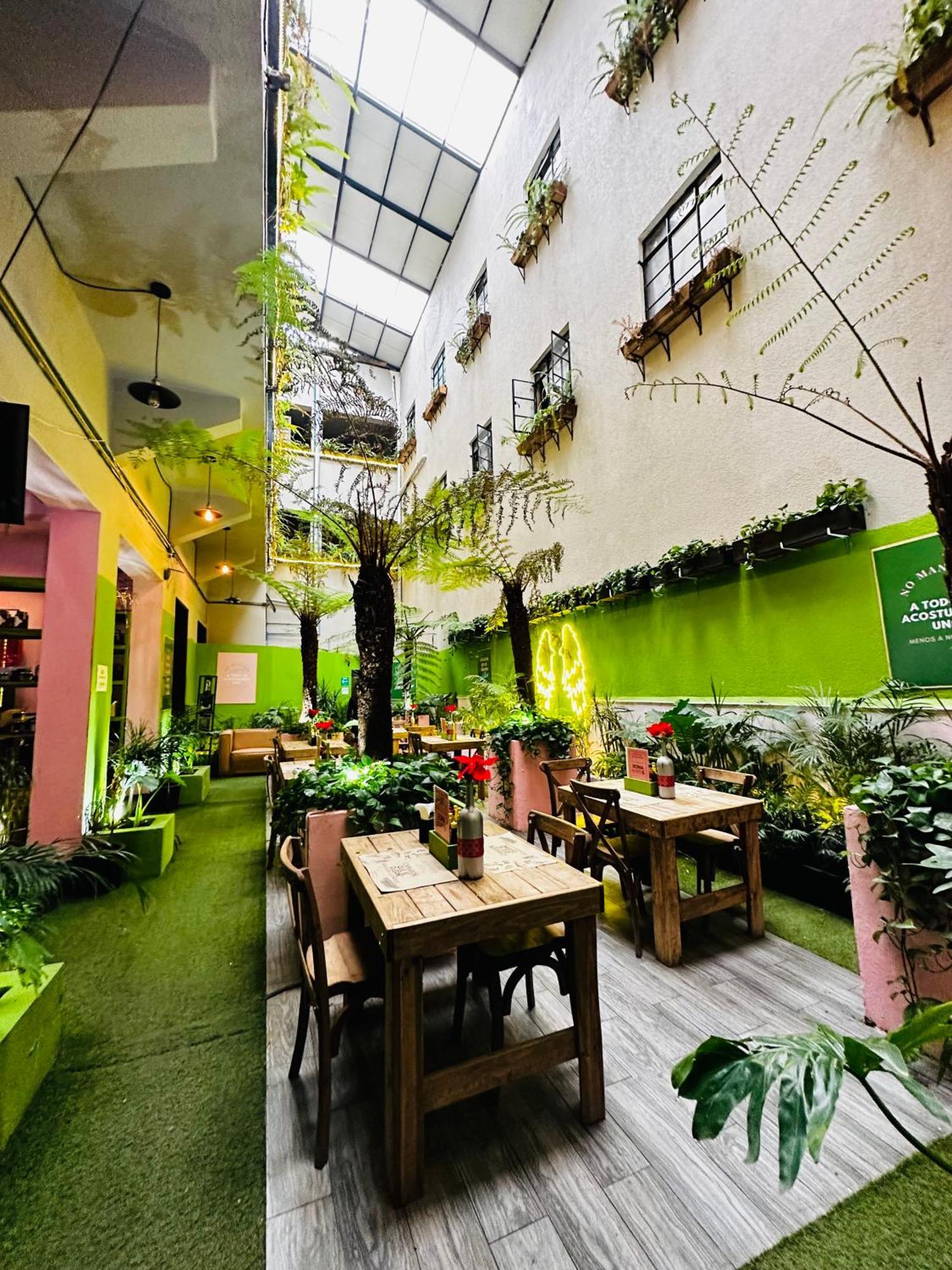 Frontera 49 Roma Norte Hostal Мексико Сити Екстериор снимка