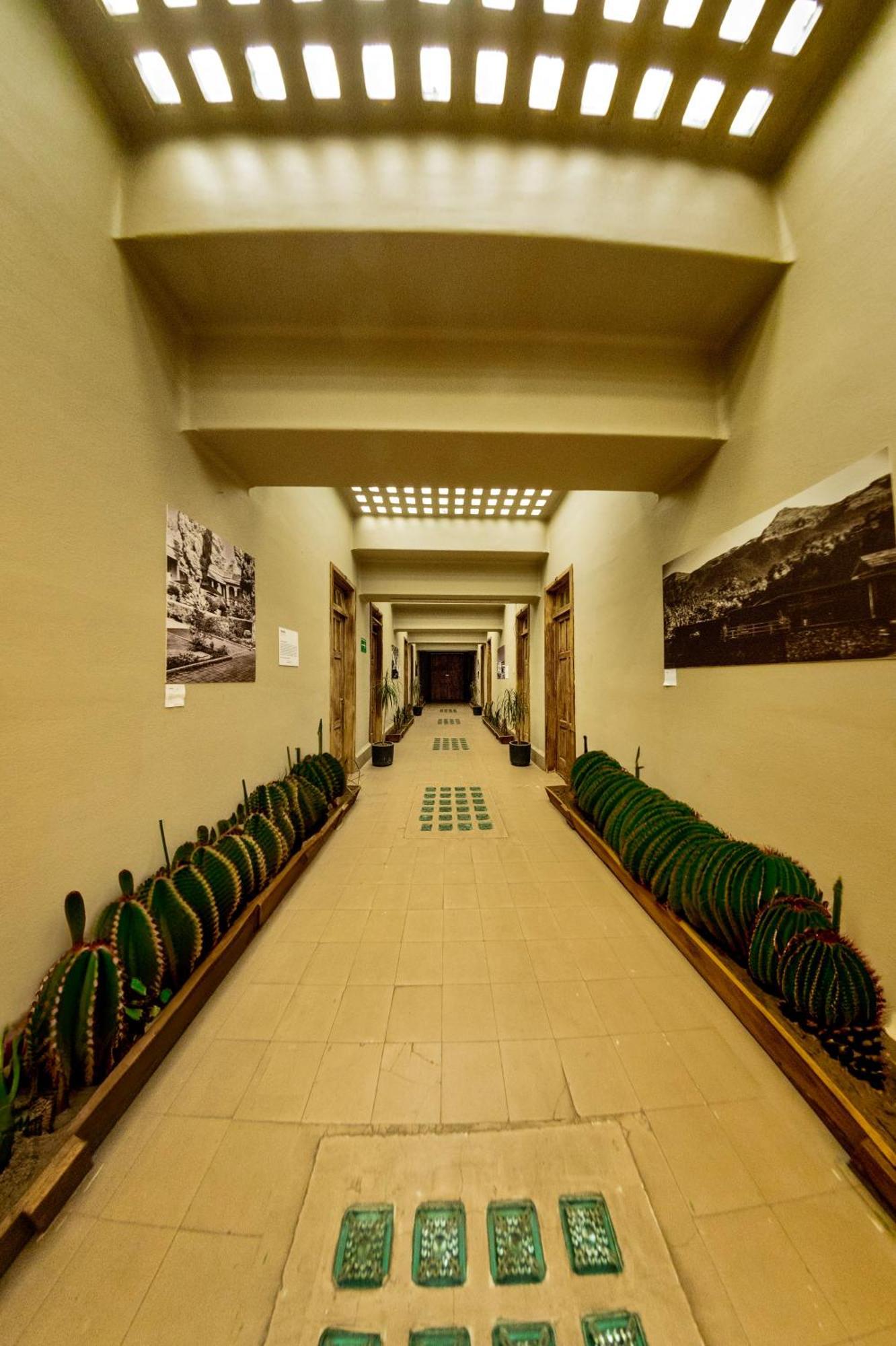 Frontera 49 Roma Norte Hostal Мексико Сити Екстериор снимка